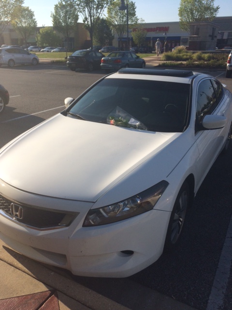 Rosas y cartita con el coche_afuera de Barnes and Noble_31julio2016