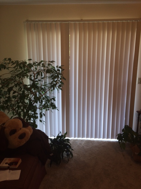 vista del den con cortinas_31julio2016